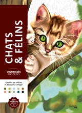 Coloriages mystères : Chats et félins