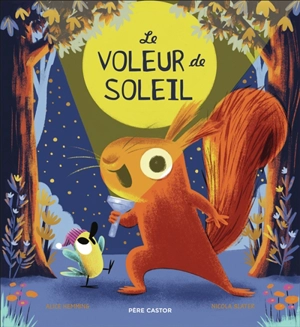Le voleur de soleil - Alice Hemming