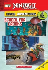 School for Crooks : Lego Ninjago - Meredith Rusu