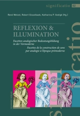 Reflexion & illumination : Facetten analogischer Bedeutungsbildung in der Vormoderne. Reflexion & illumination : facettes de la construction de sens par analogie à l'époque prémoderne