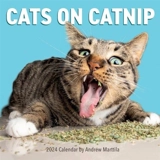 Cats on Catnip Calendar 2024 : Wall Calendar - Andrew Marttila