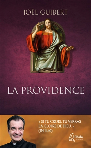 La providence - Joël Guibert