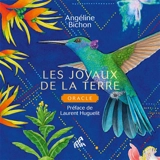 Les joyaux de la Terre : oracle - Angéline Bichon
