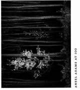 Ansel Adams at 100 : Slipcased - John Szarkowski