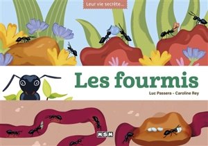 Les fourmis - Luc Passera