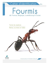 Cahier d'identification des fourmis de France, Belgique, Luxembourg & Suisse : toutes les espèces, reines, ouvrières et mâles - Claude Lebas