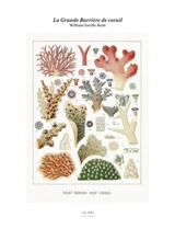 La grande barrière de corail - William Saville-Kent