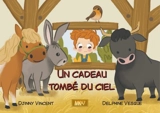 Un cadeau tombé du ciel - Djinny Vincent