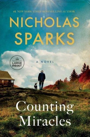 Counting Miracles - Sparks, Nicholas