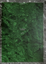 Shali - Laurence Bonvin