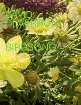 Birdsong - David Claerbout