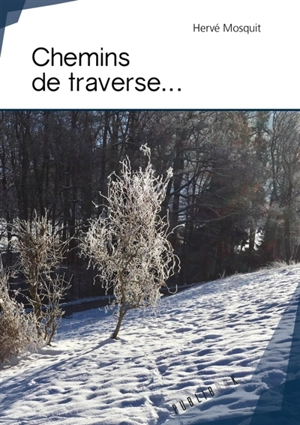 Chemins de traverse... - Hervé Mosquit