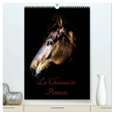 Chevaux en Portraits (Calendrier mural 2026 DIN A2 horizontal) calendrier de bureau : Portraits de chevaux en liberté et studio - Xavier Bertrand
