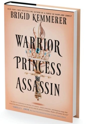 Warrior Princess Assassin Vol. 1 - Brigid Kemmerer