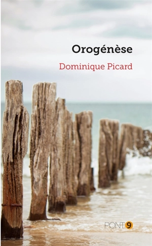 Orogénèse - Dominique Picard