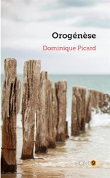 Orogénèse - Dominique Picard