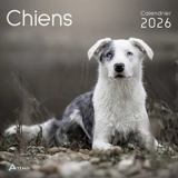 Chiens : calendrier 2026 : de septembre 2025 à décembre 2026
