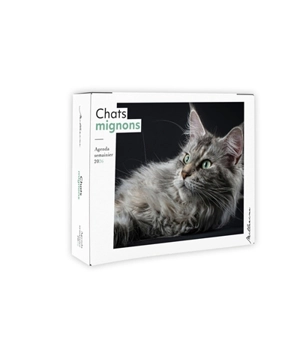 Semainier 2026 : Chats mignons - Julie Warnier