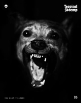 Tropical Stoemp, n° 5. You want it darker