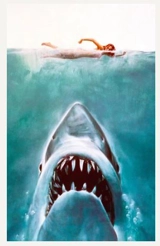 Les dents de la mer ou L'art du subjectif - Frédéric Zamochnikoff