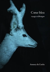 Coeur bleu : voyage en Bretagne - Amaury Da Cunha