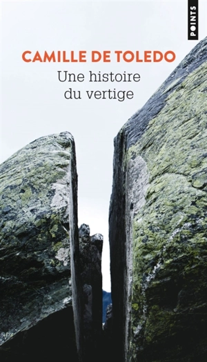 Une histoire du vertige - Camille de Toledo