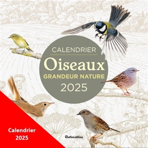 Oiseaux grandeur nature : calendrier 2026 - Guilhem Lesaffre