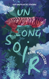 Un long soir - Paul Kawczak