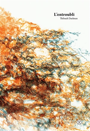 L'entroubli - Thibault Daelman