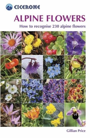Alpine Flowers - Gillian Price