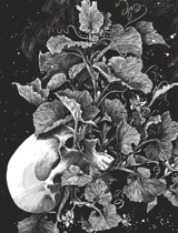 La tête de mort venue de Suède - Daria Schmitt