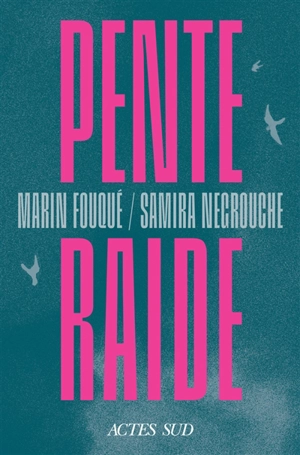 Pente raide - Marin Fouqué