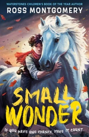 Small Wonder - Ross Montgomery