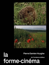 La forme-cinéma - Pierre-Damien Huyghe
