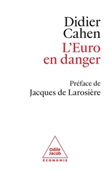 L'euro en danger - Didier Cahen