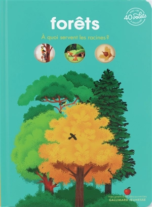 Forêts : à quoi servent les racines ? - Pauline Payen