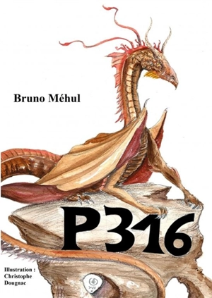 P316 évolution - Bruno Méhul