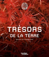 Trésors de la Terre : galerie de minéralogie
