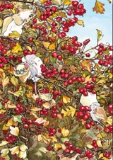 Carnet automne