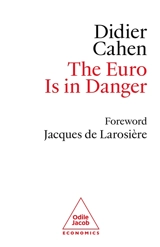 The euro in danger - Didier Cahen
