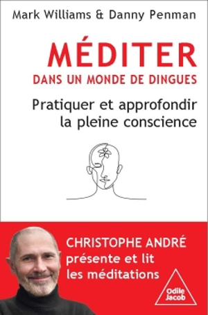 Méditer dans un monde de dingue : pratiquer et approfondir la pleine conscience - Mark Williams