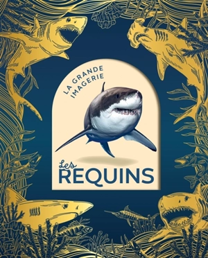 Les requins - Cathy Franco