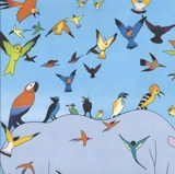 Le rhinocéros et les oiseaux - Jérémie Moreau