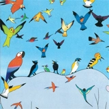 Le rhinocéros et les oiseaux - Jérémie Moreau