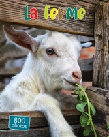 La ferme : 800 photos