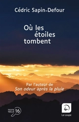 Où les étoiles tombent - Cédric Sapin-Defour