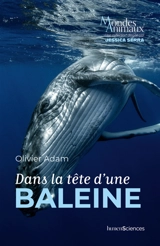 Dans la tête d'une baleine - Olivier Adam