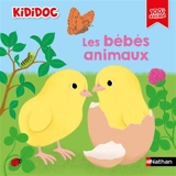 Les bébés animaux - Sylvie Baussier