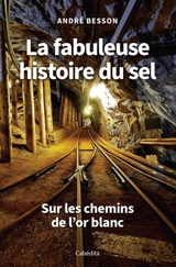 La fabuleuse histoire du sel : sur les chemins de l'or blanc - André Besson