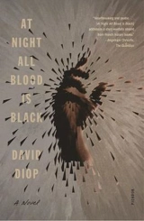 At Night All Blood is Black - Diop, David
